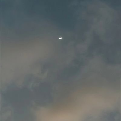 sridhan_teja's profile picture. 