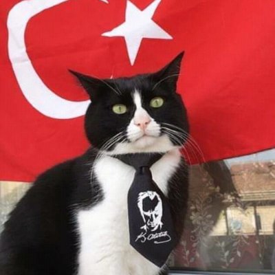 Her şeyi eleştiriyorum ve kimseye objektiflik borcum yok.
Game Developer
26'