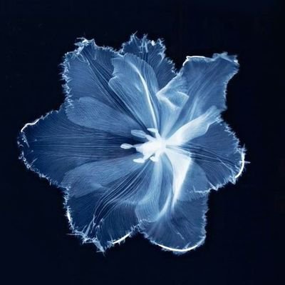 queseyo_x's profile picture. idk