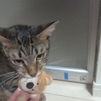 えみ (@soqdqbclli28412) 's Twitter Profile