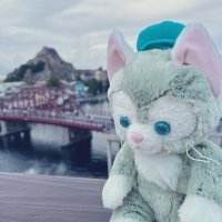 りょくちゃ (@ayatakamain) 's Twitter Profile