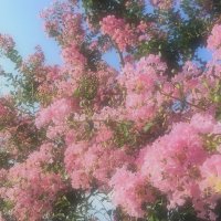 おきあみ (@s7yisl) 's Twitter Profile