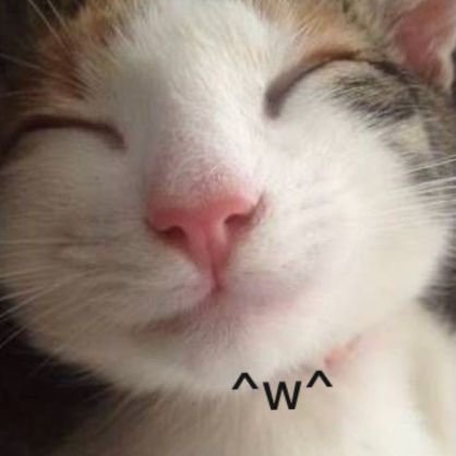 NotRandomlyy's profile picture. 