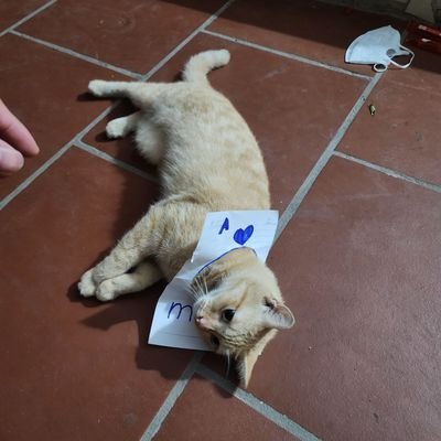 NgocNguyen10296's profile picture. 