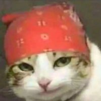 Cryptoid 007 (@futureid01) 's Twitter Profile