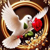Katiuska Nuñez (@katiuska_n25774) 's Twitter Profile