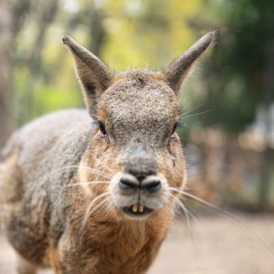 We're open 10:00am-5:00pm Monday — Friday and 10:00am-5:30pm Saturday & Sunday. Reserve tickets below!