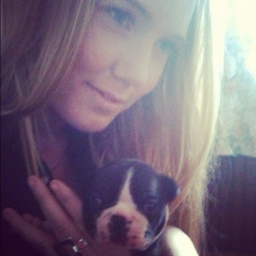 CarolinLee's profile picture. Brinner för kommunikation, älskar ordet typiskt lite för mycket och min cooling Cerberus the Boston.