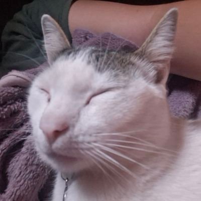jkdc33's profile picture. 