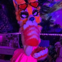 Pheonix FoxCat | MDNI 🔞 (@pheonixescagead) 's Twitter Profile