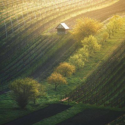 OJhayaPavan's profile picture. 