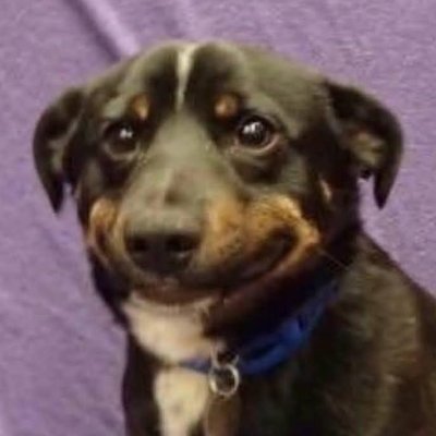 No_01144's profile picture. Not a bot. My own musings. No audience required.