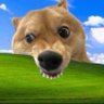 0xdemakis's profile picture. Web3 Analyst | DeFi & Infra Maxi 🛠️  
AI, DeFi & NFTs | Analyst-driven research