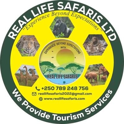 Rwandese tour Company: we provide tourism services
website: https://t.co/hKvYE51rqa
E-mail: reallifesafaris2022@gmail.com
Call/Whatsapp: +250 789 248 756