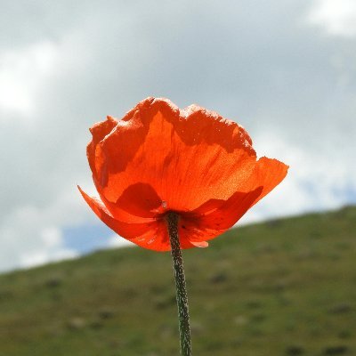 hikari_to_shio's profile picture. キリスト教（復活派）についてAIも用いて伝道、研究をしています。  信教・思想・良心の自由を尊重したいです。 色々と試案しています。YouTube：https://t.co/Fd1RKQqqsk 旧note：https://t.co/7ERezolhl0