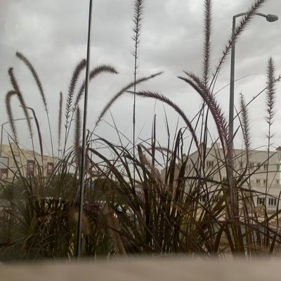 اذا كانت ذا راياٍ فكن ذا عزيمةُ فإن فساد الرأي ان تتردد !