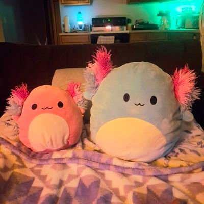 _m_o_o_m_o_o_'s profile picture. don't do anything stupid.

(I don't make tweets much, I just really reply.)