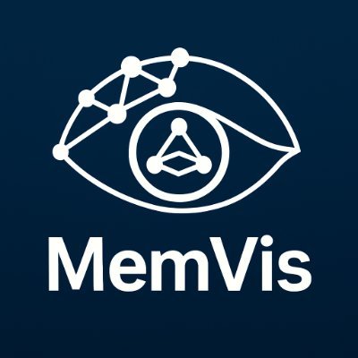@MemVis_ICCV25