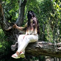 HJim (@haastaa_) 's Twitter Profile