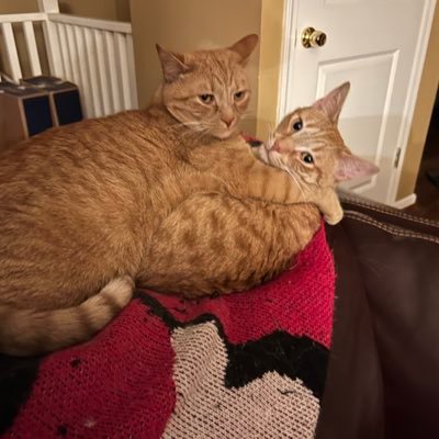 Michell49817296's profile picture. I try to make the world a better place.❤️35 years in health insurance sales. I’ve seen 287 different bands in concert. Sense of humor is a must! . Wine helps!