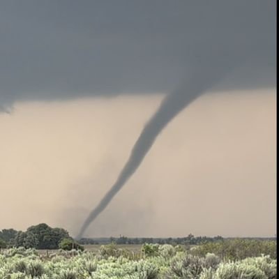 Eden_wx's profile picture. 