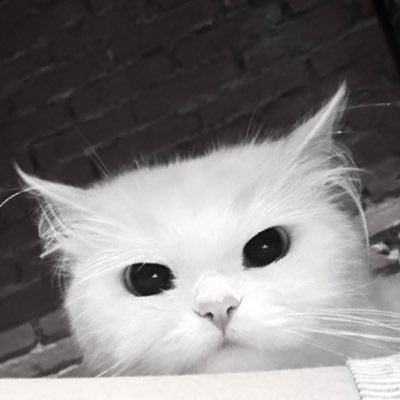 panphat02's profile picture. my toxic trait is thinking ion have any