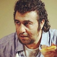 ارژنگ صنوبر ٢🦁☀️🎗️🇮🇱 (@senobar_arzhang) 's Twitter Profile