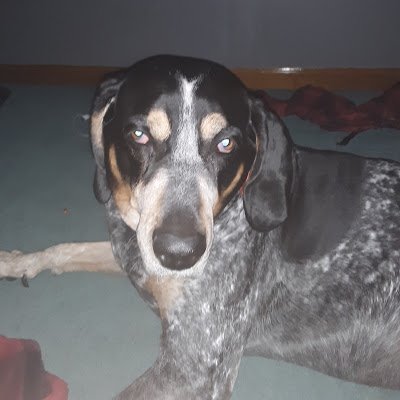 LambChase71966's profile picture. 