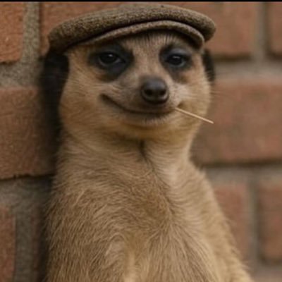 mikky_kalson's profile picture. A funny sarcastic dude..hit the follow botton