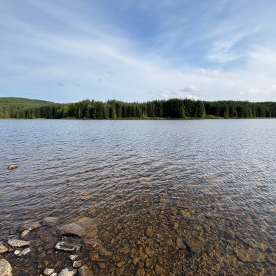 bmagoogs's profile picture. 