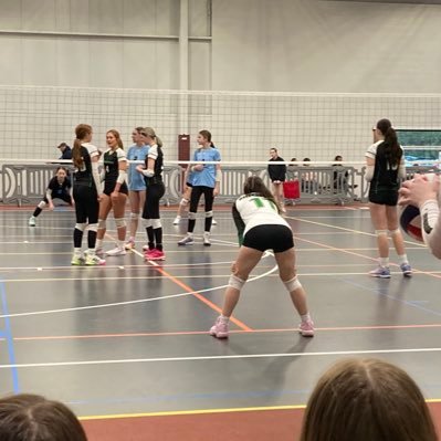 bellafelleti11's profile picture. MVP 16 Gold-Valley Virtual Online Academy