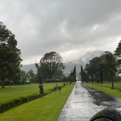 saed0781's profile picture. .