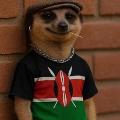 My previous account got suspended, follow me guys i follow back.