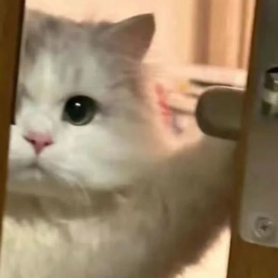jusstrory's profile picture. 👩🏻💻