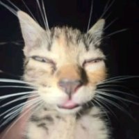 Xime (@xime_g4r) 's Twitter Profile