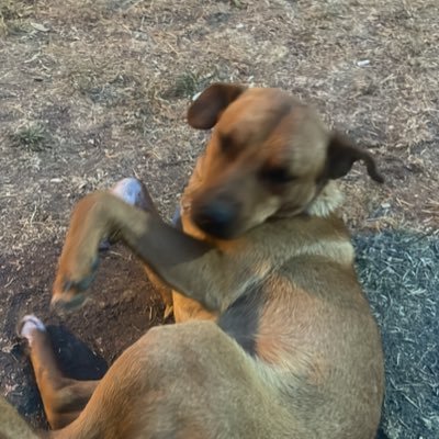 eskideffter's profile picture. Nöbetçi Alkolik