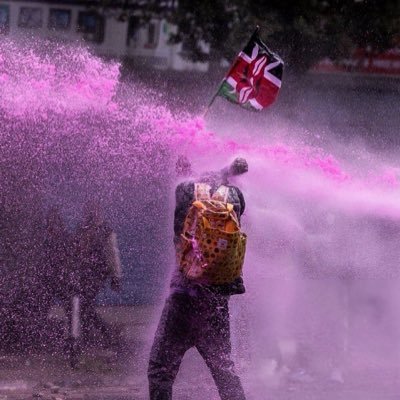 Software Developer || Political Economist || Realist || Liberal || Gunner . Ardent Admirer of Marcus Tullius Cicero. A Kenyan by birth , not by choice.