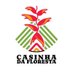 Casinha da Floresta (@casinhafloresta) Twitter profile photo Casinha da Floresta (@casinhafloresta) Twitter profile photo