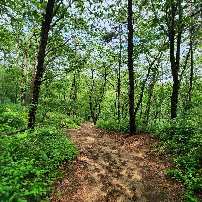 J321738328's profile picture. Dreamer