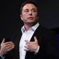MR DOGE (@elonmusk033677) 's Twitter Profile