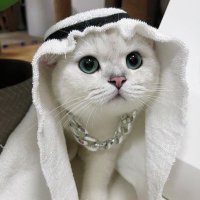 ProfessorY (@profesor_x4830) 's Twitter Profile Photo ProfessorY (@profesor_x4830) 's Twitter Profile Photo