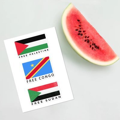 debbis23's profile picture. 