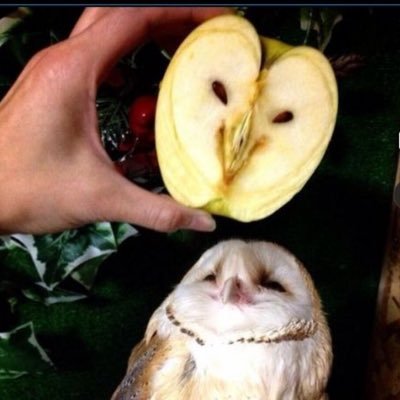 zonabentica's profile picture. cine de ensayo ensayo de cine