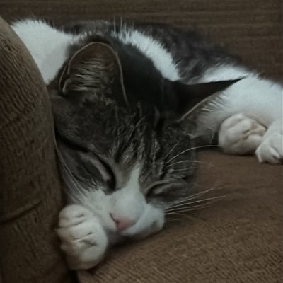 Software Developer|Java|Spring|Full-stack.
Currently in career transition from Cyber/NetEng.
Lifelong Learner.
Proud Husband, Father, and Vet (U.S. Army)