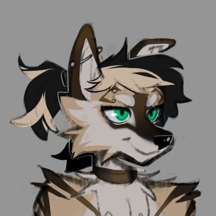 DataW00f's profile picture. 31 | She/Her 🏳️‍⚧️ | Eng/Esp | General Furry but may post game screenshots