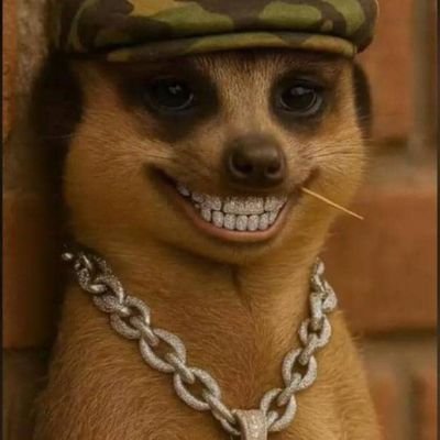 DhinoMelay13898's profile picture. Early to crypto, deep in Web3. Bridging the metaverse, DeFi, and real-world adoption.💹📈📊💲🤑