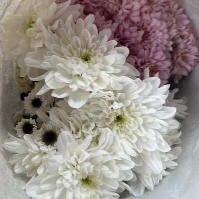 win2thepooh's profile picture. ava kpop turns to personal acc