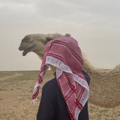 qpAqv's profile picture. 