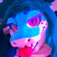 AD Ahegao Shark ⏭️ Furrydelphia. DenFur. AFC (@rynsfinssins) 's Twitter Profile