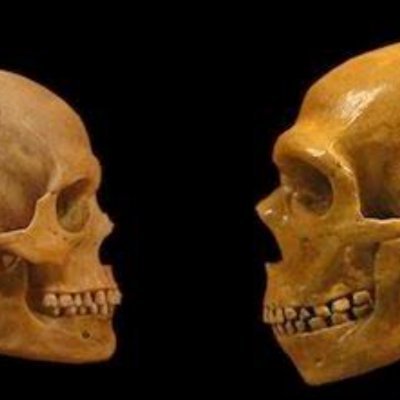 Genética e genealogia💙-🧬
Pretendo fazer deste perfil um canal de divulgação antropológica-genetica, me siga para apoiar o projeto!.